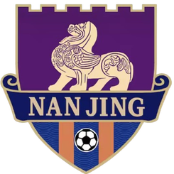  南京队 